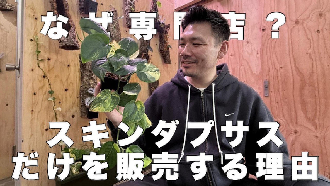 【なぜ専門店？】専門店を選んだ理由についてお話しします！