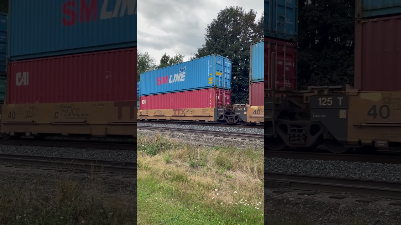 CN ET44AC, C44-9W & ET44AC mixed load Agassiz BC Aug 7, 2025 Part 2