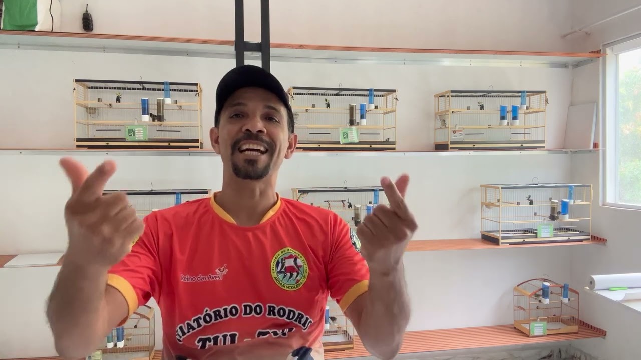 O manejo de tudo quando começar uma femar pela primeira vez quando ela vai para a produção.