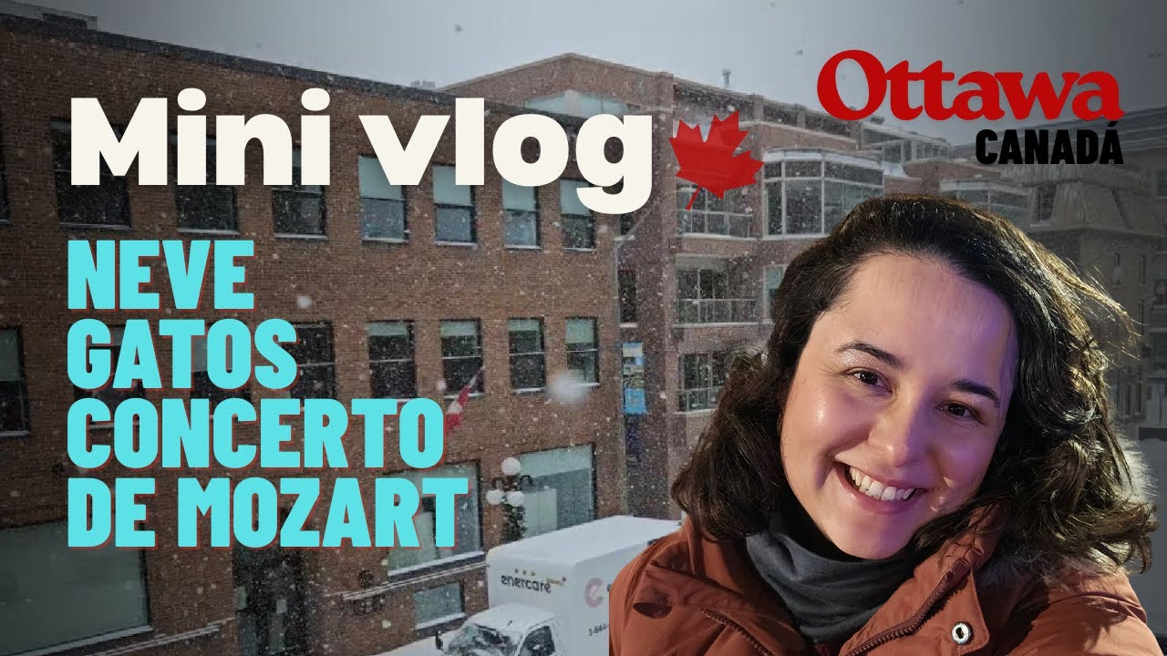 Vida em Ottawa... Neve, gatos, concerto de Mozart.
