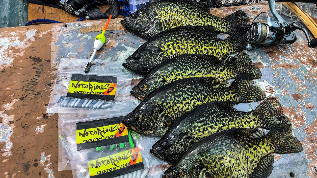 Spring Crappie Fishing with Bobbers (Quick Morning Limits)
