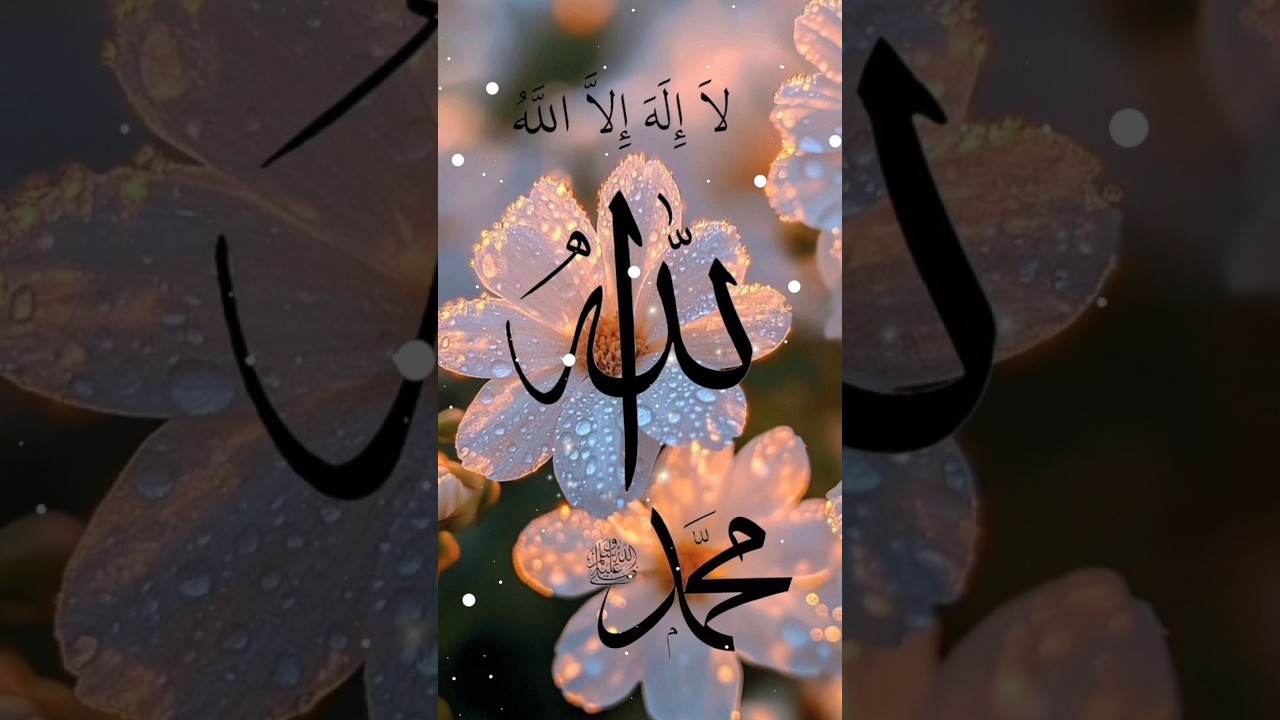 Allah Muhammad S.A.W name wallpaper|Islamic dpz collection❤️ | Allah Muhammad name dp||dpzlovers