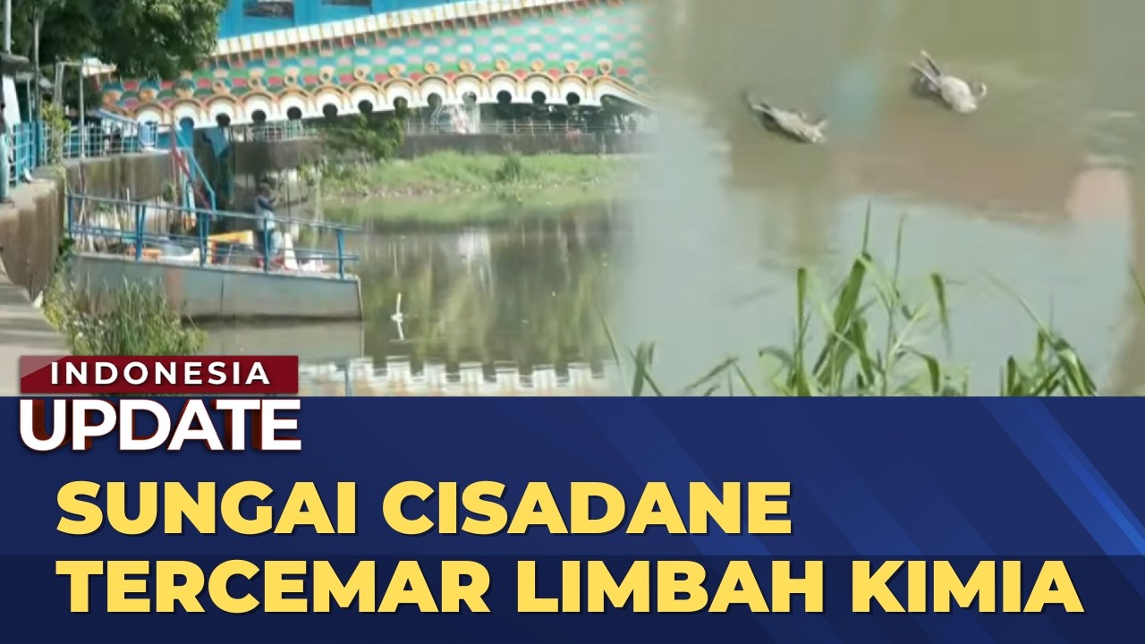 Sungai Cisadane Tercemar Bahan Kimia Kebakaran Gudang Pestisida | INDO UPDATE