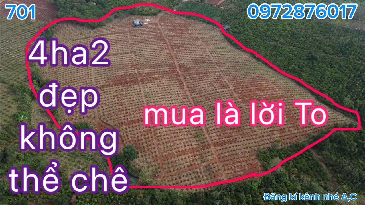 4ha2 cà ghép thiện trường ￼ ngay các trung tâm tiện ích
