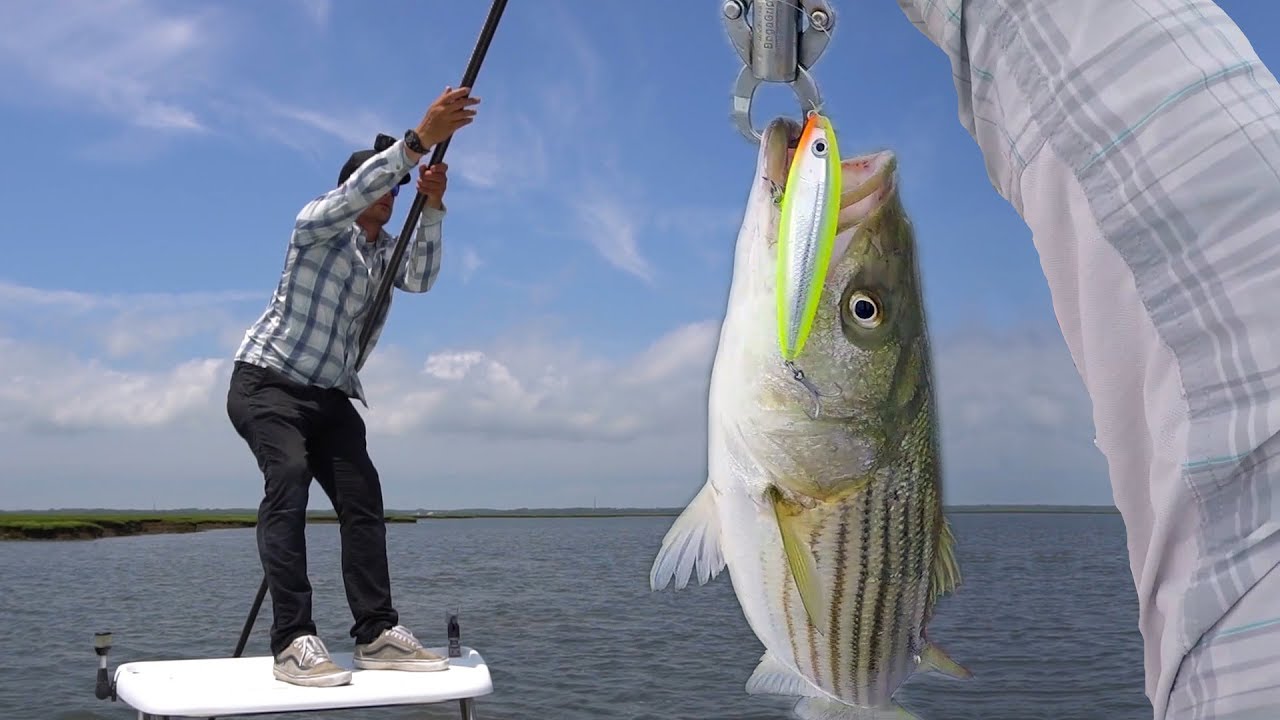 Poling the Flats for Topwater Striper | Field Trips New Jersey | Field Trips with Robert Field