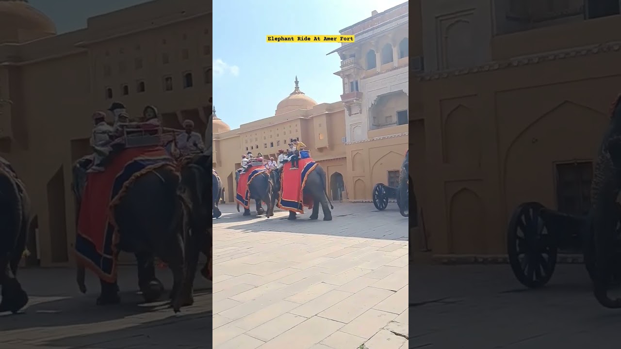 Facts Video of Elephant Ride Amer, Elephant Fair in Amer, Elephant Ride at Amer Fort #amerfort