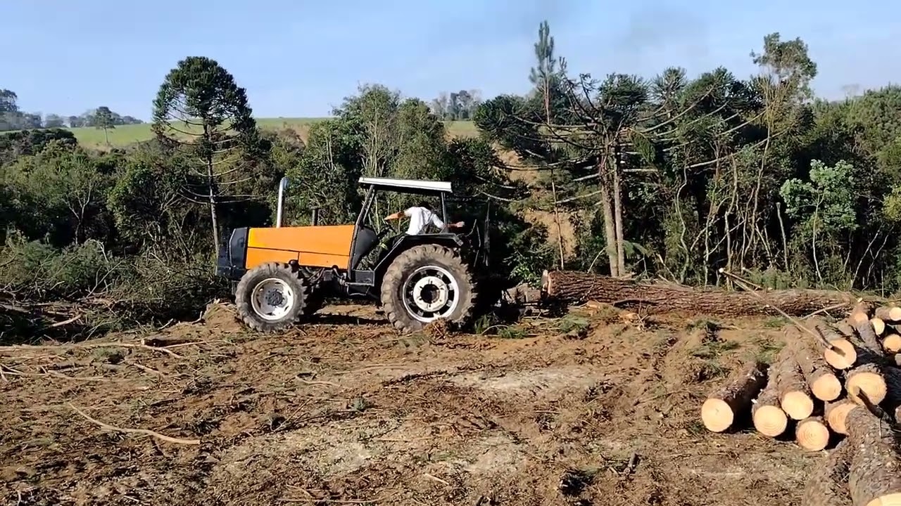 Guinchando pinus valtra 985
