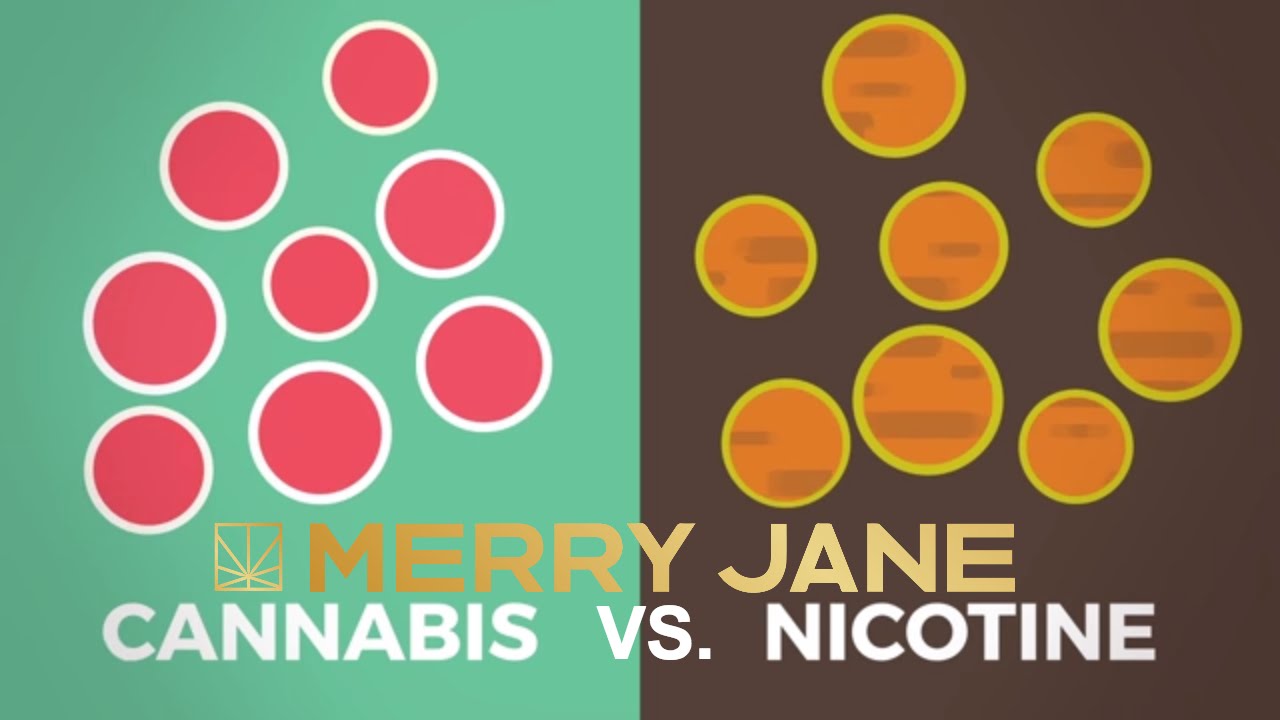 Does Smoking Weed Cause Cancer?