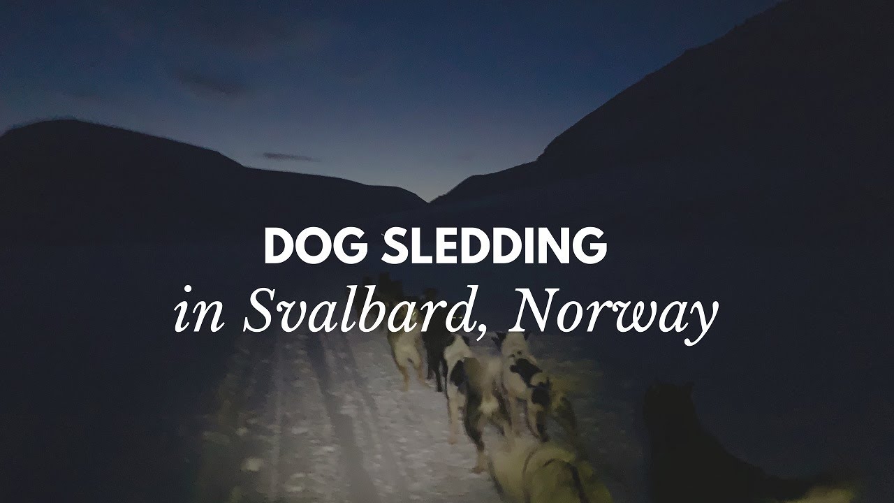 Dog sledding in Svalbard