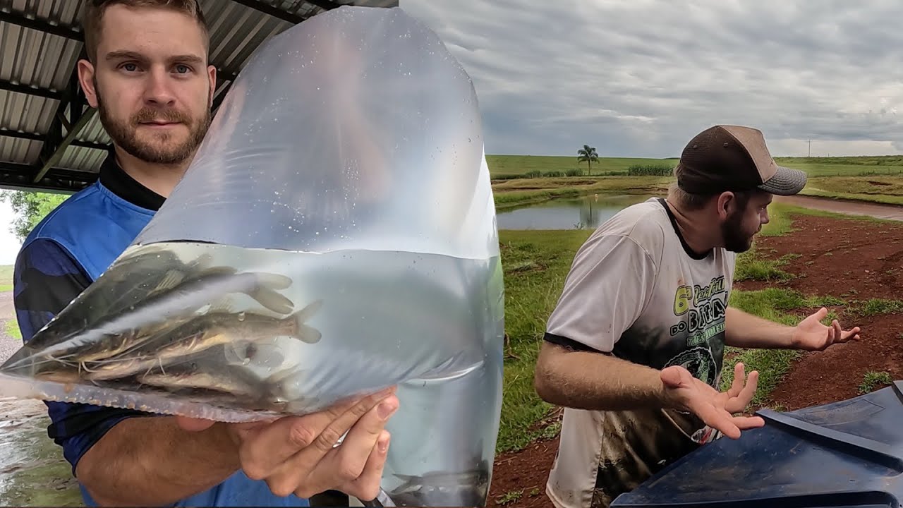 SUMIU TODOS OS PEIXES DO AÇUDE !! MEU DEUS
