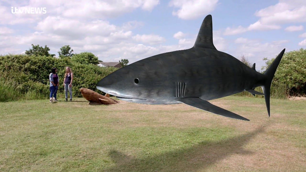 East Anglia's prehistoric past come alive in a walk along the Essex coast | ITV News