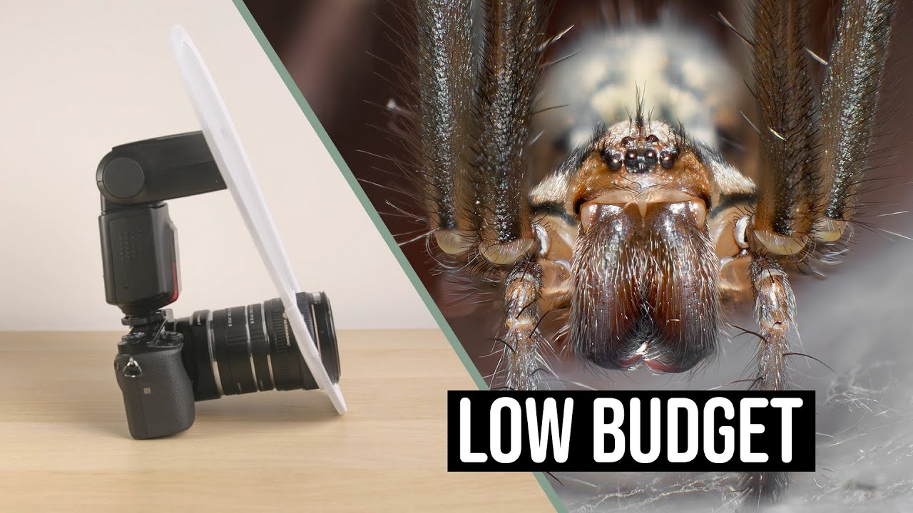 Want to do Macro Photography on a budget? Here’s how