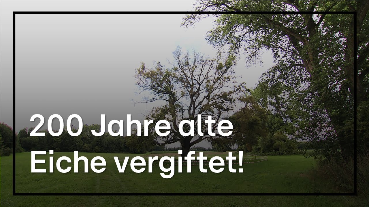 Nächster Gift-Anschlag auf Bäume in Hessen - wieder Glyphosat!