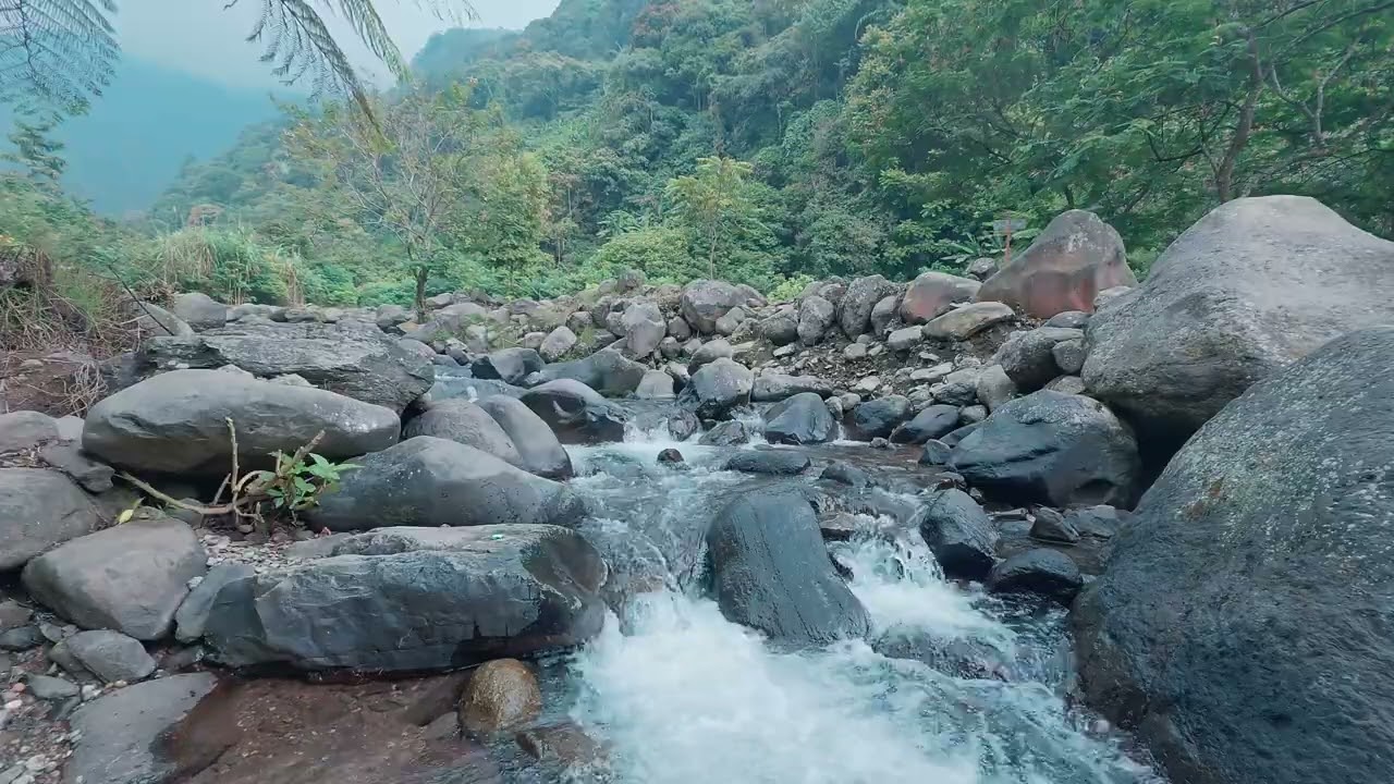 Peaceful River & Bird Sounds for Relaxation