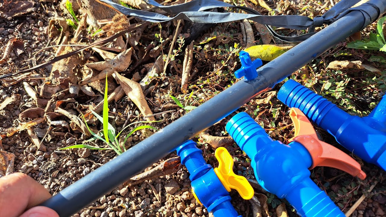 Sistema de gotejamento simples e barato, pra frutíferas diversos.