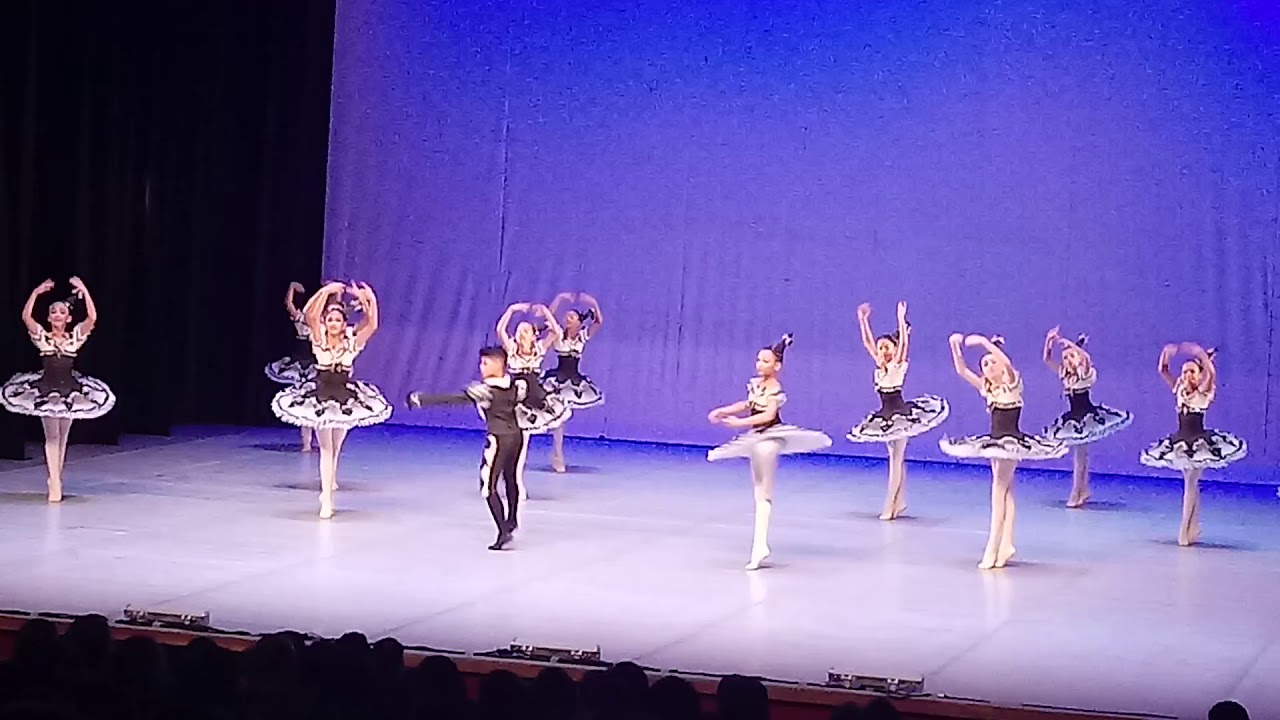Noite de Gala - Teatro Basileu França  - Ballet Clássico