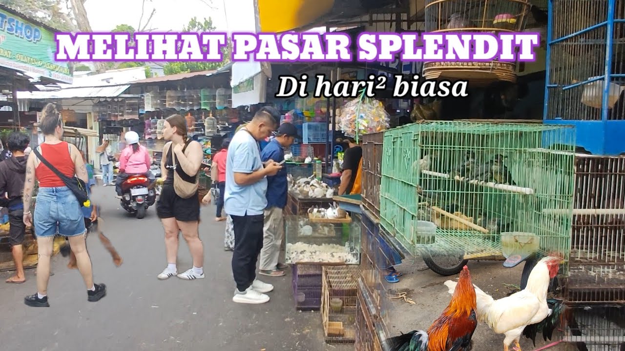 SUASANA PASAR SPLENDID MALANG KALAU PAS HARI BIASA