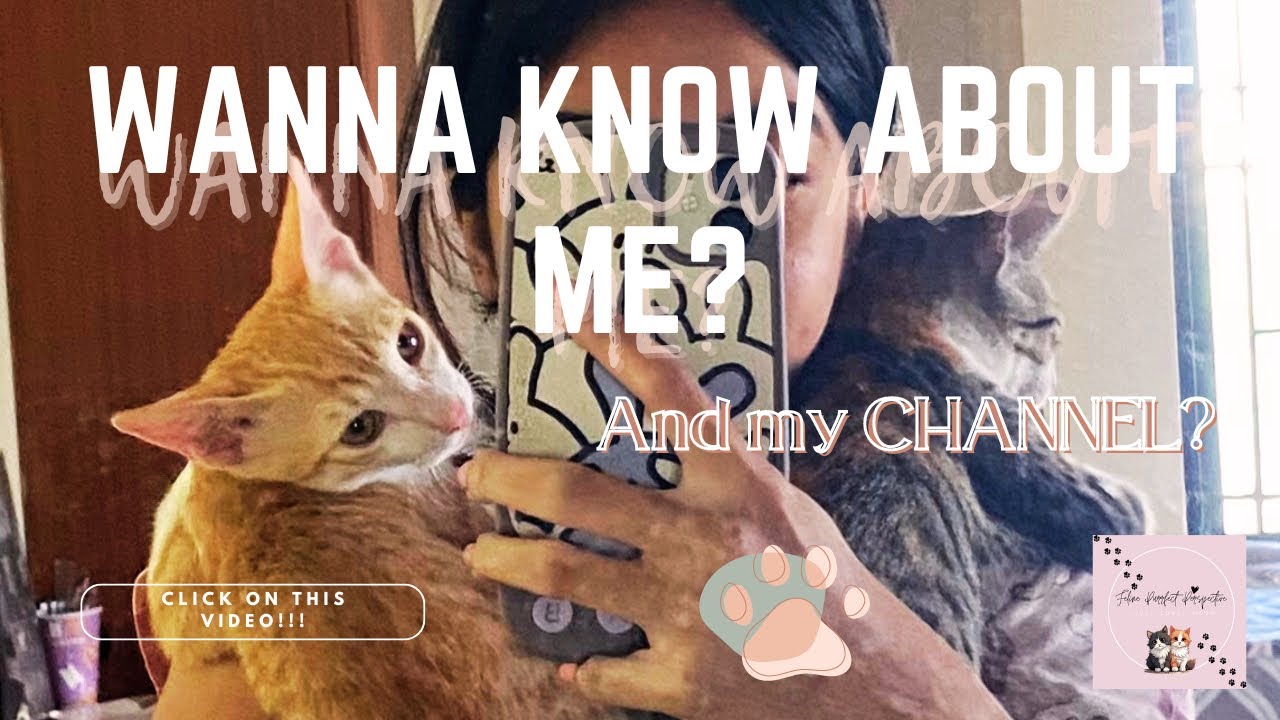 What is my channel about? Cat psychology? Cat facts? Humor content? All of the above!? Watch now 😸