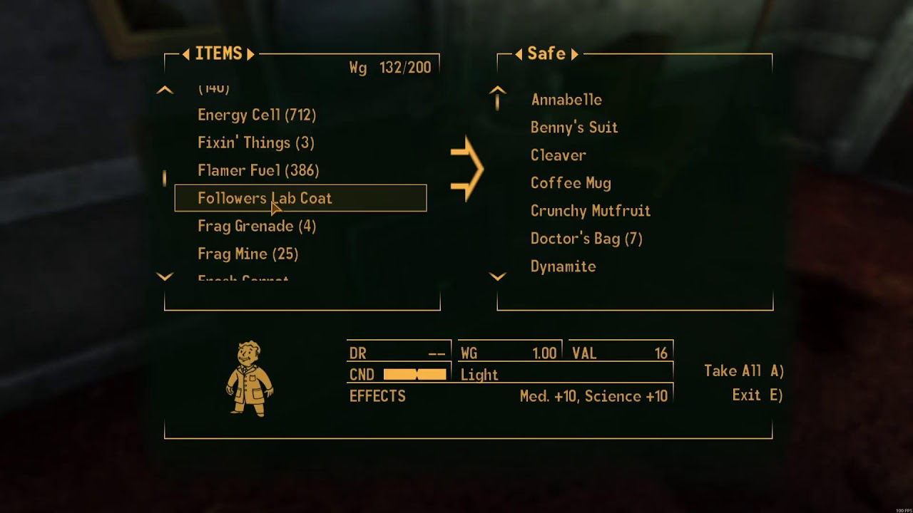 Fallout New Vegas: What the hell am I doing?