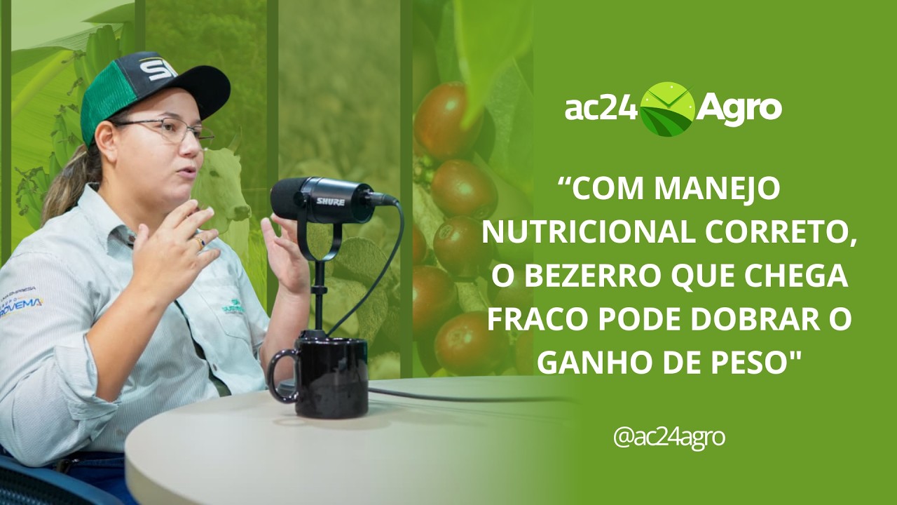 Estratégia nutricional dobra ganho de peso de bezerros em fazenda atendida por agrônoma