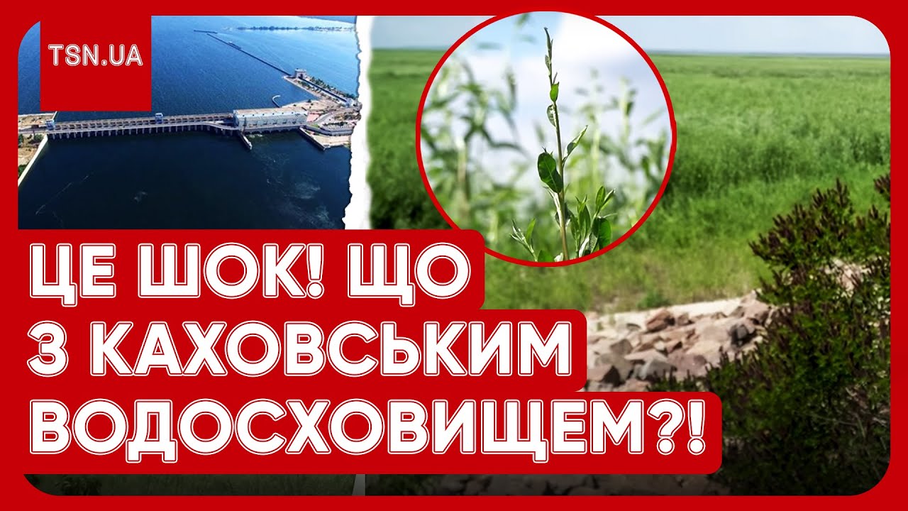 ⚡️❗️ ТАКОГО НЕМАЄ БІЛЬШЕ НІДЕ! Землі Каховської ГЕС 