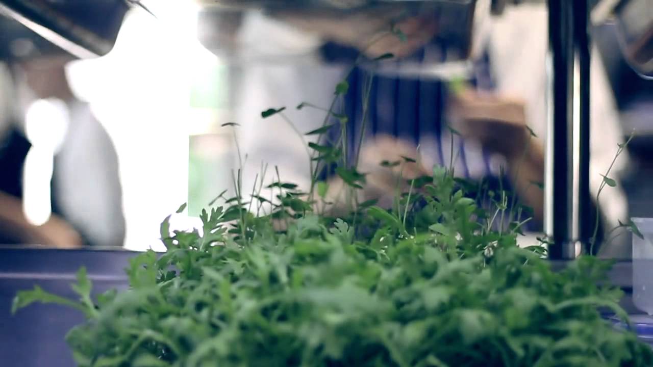 Simon Rogan's L'Enclume