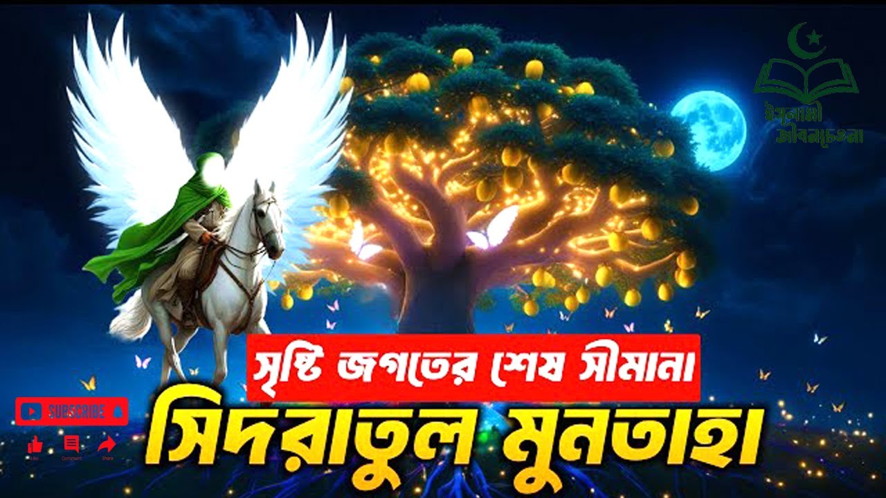 সৃষ্টি জগতের শেষ সীমানা | সিদরাতুল মুনতাহা | #meraj #সিদরাতুল #sidaratulmuntaha