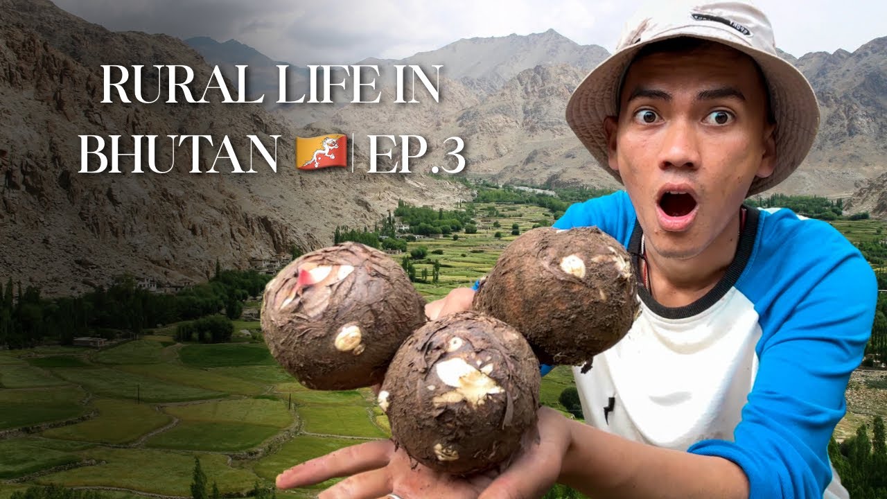 A Quiet Life in the Himalayas 🏔️| Bhutan 🇧🇹 | Episode 3