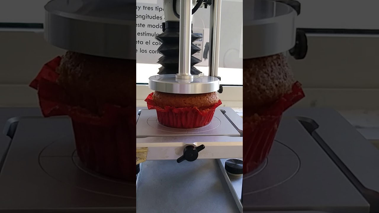 Texture Analyzer