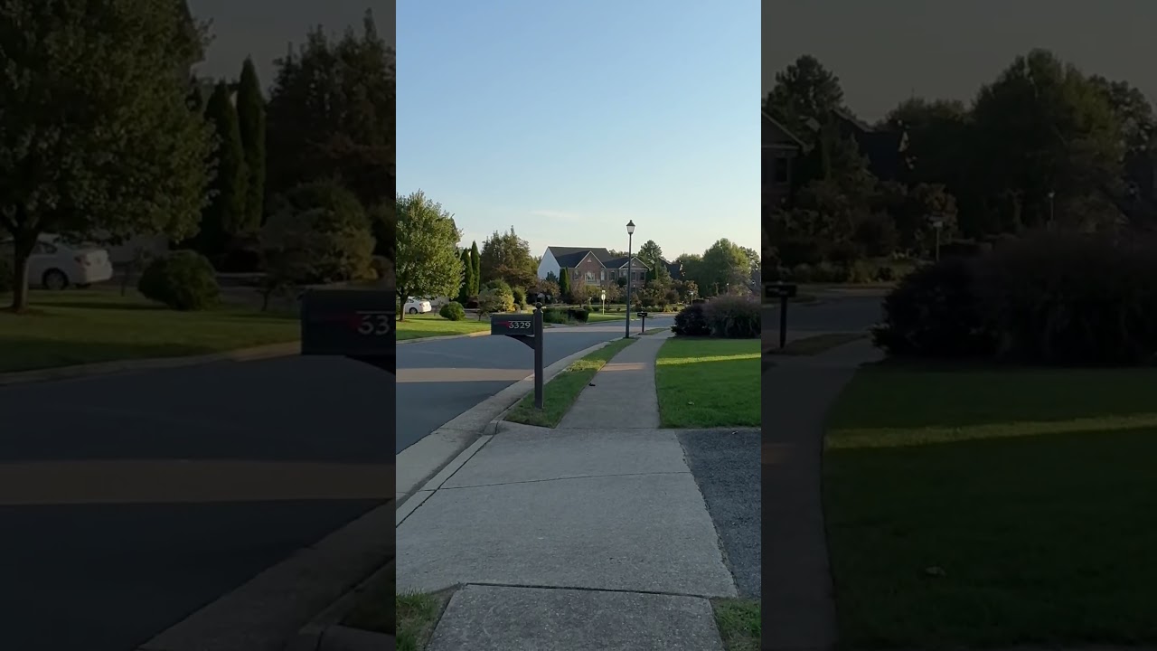 Amerikai &eacute;let