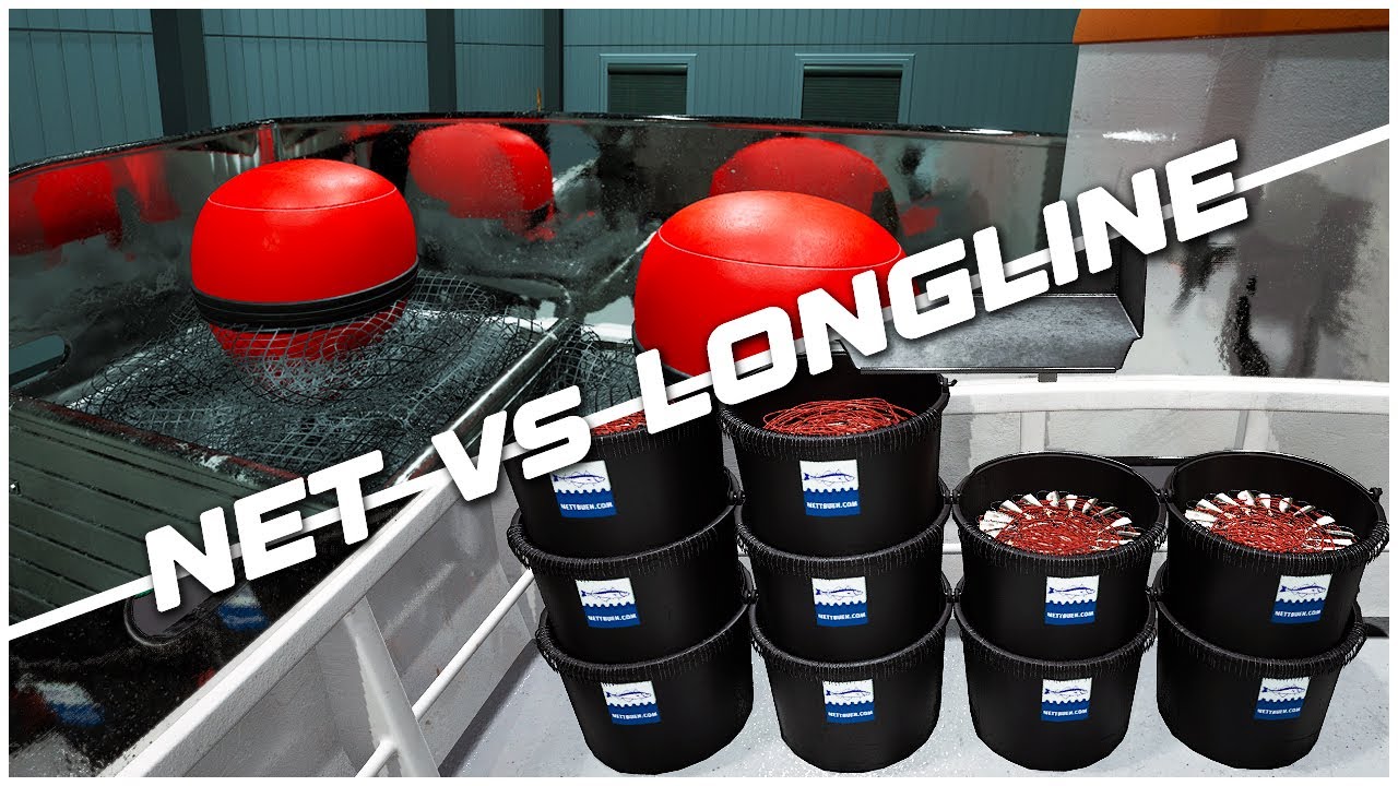 Ships at Sea Net Fishing vs Longline Fishing - Which is Better for Making Money?