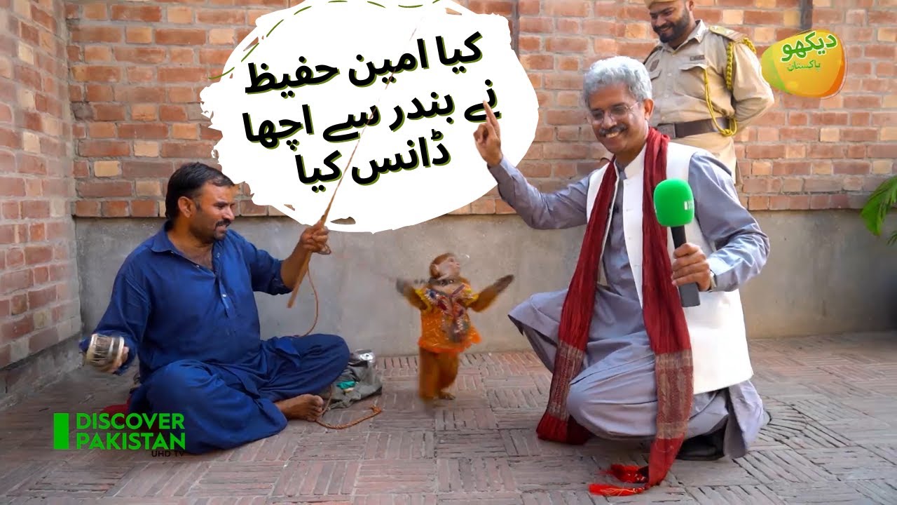Kya Amin Hafeez Nay Bandar Sa Acha Dance Kia