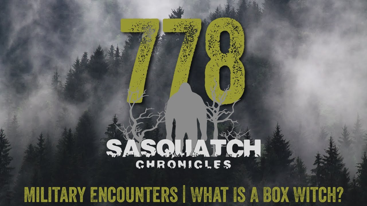 SC EP:778 Military Encounters | What Is A Box Witch?