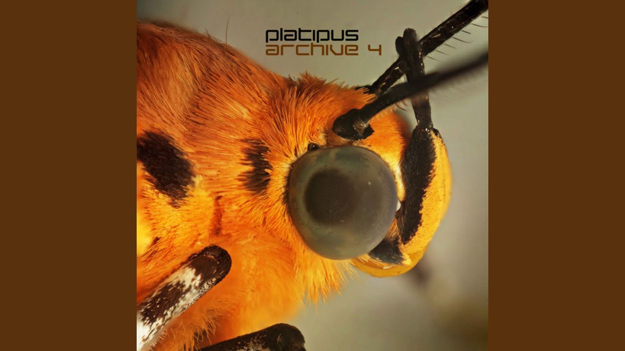 Bluebottle (Original Mix - Remastered) feat. DJ Patrick Reid