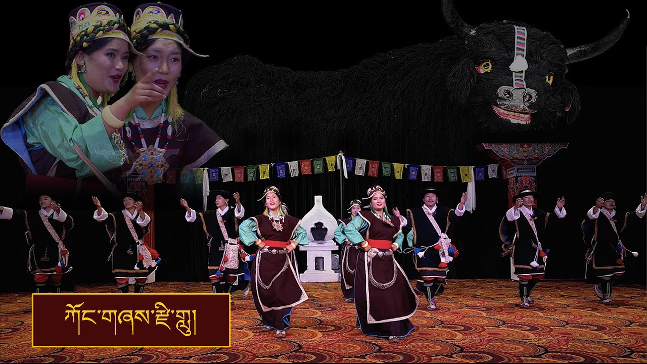 ཀོང་གཞས་རྫི་གླུ། || YARKYI 2023 || TIPA