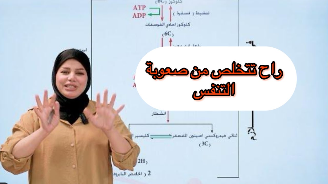 التنفس الهوائي/مراجعة مركزة الفصل الاول