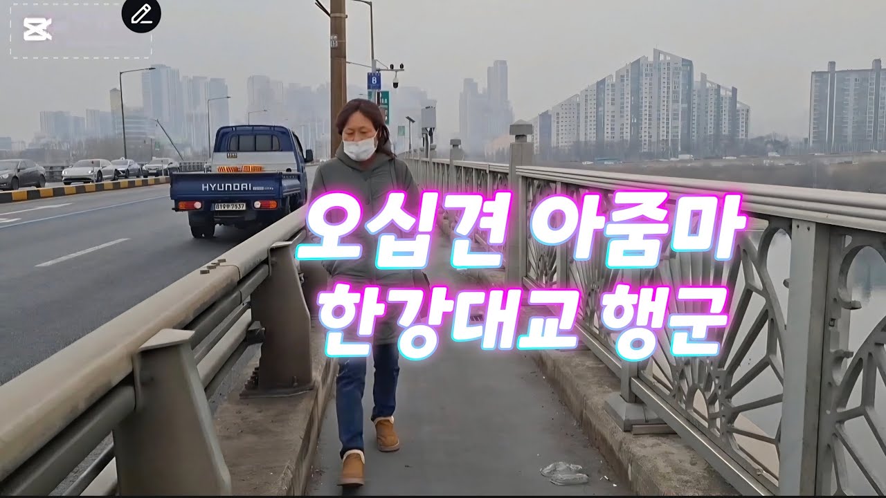 오십견 아줌마 한강대교 행군