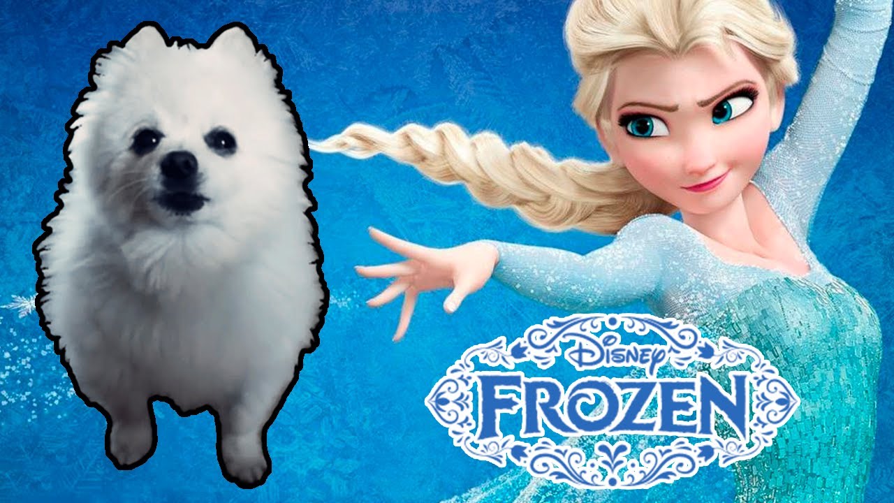 Frozen - 'Let it Go' em cachorrês