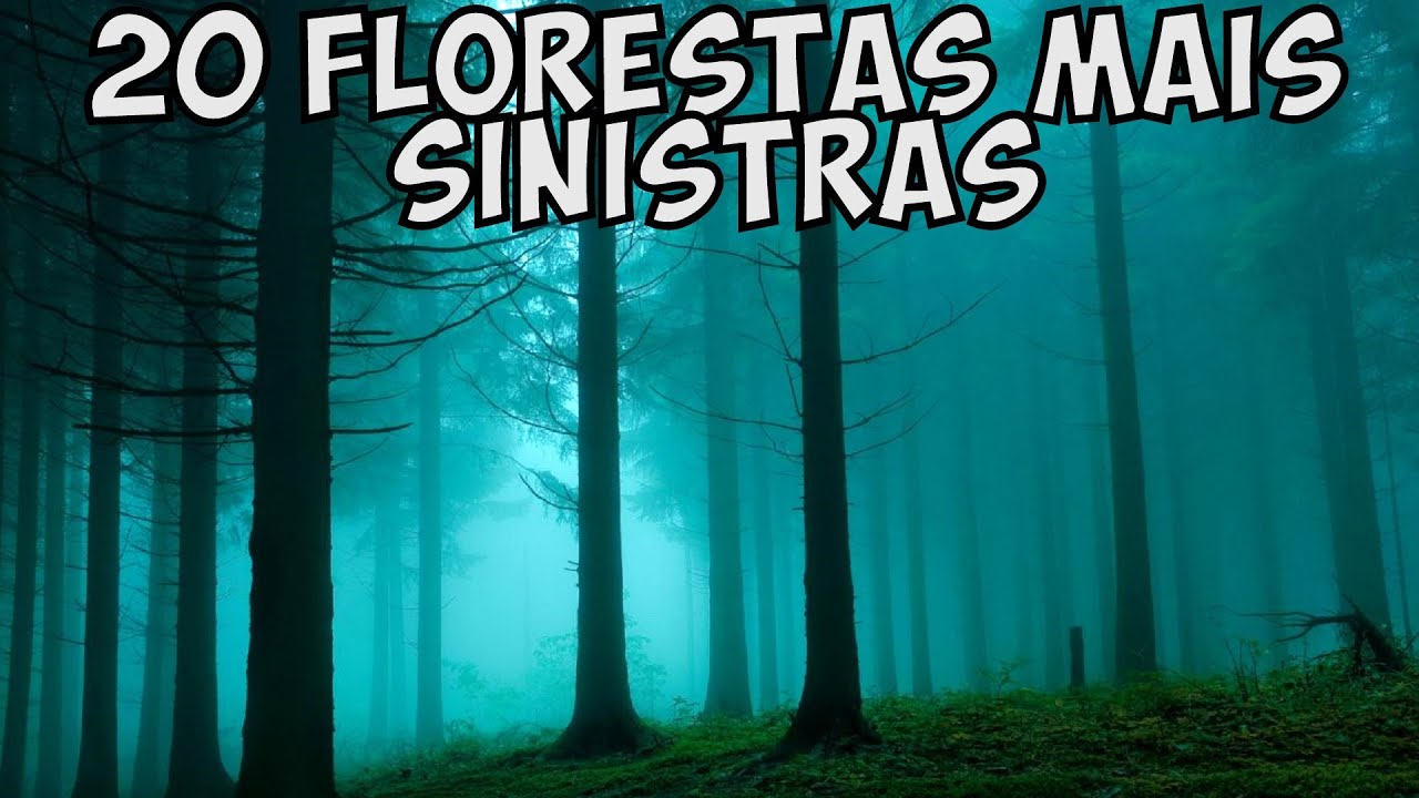 As 20 Florestas mais Sinistras do Mundo