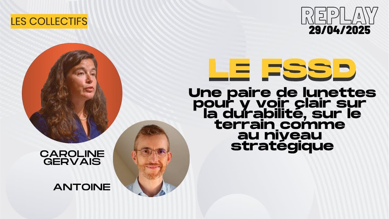 Replay webinaire Les Collectifs : durabilité sur le terrain et au niveau stratégique, le FSSD !