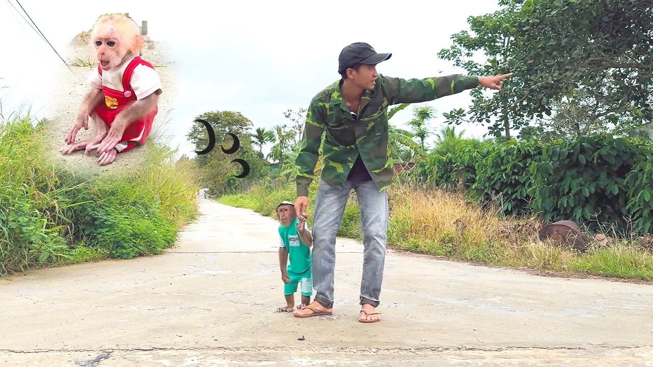 Emotional Story! CUTIS and Dad Search for Missing Baby Monkey
