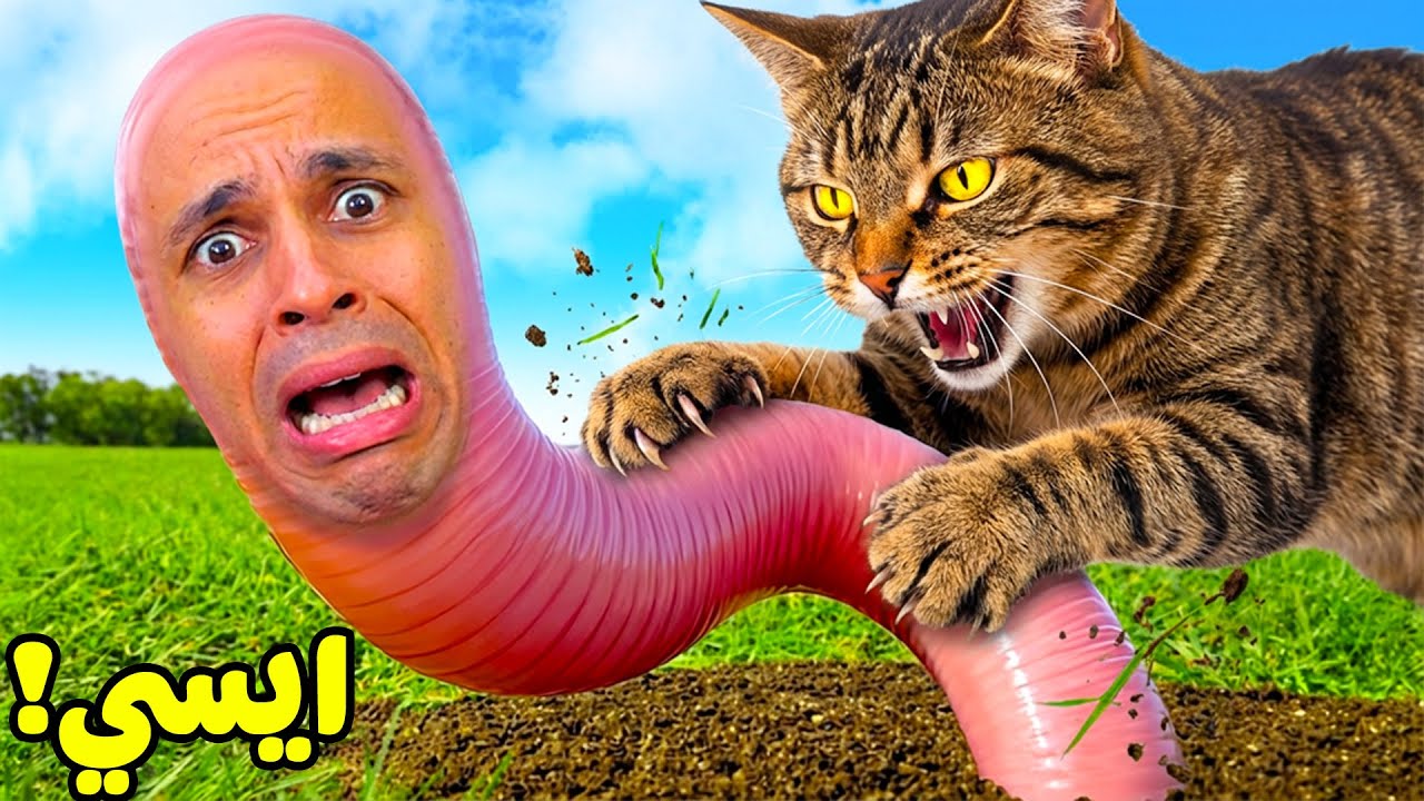 ايستيوب دودة الأرض ليوم كامل | Wirm !! 🪱🌍