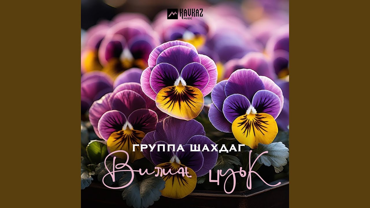 Вилин цуьк