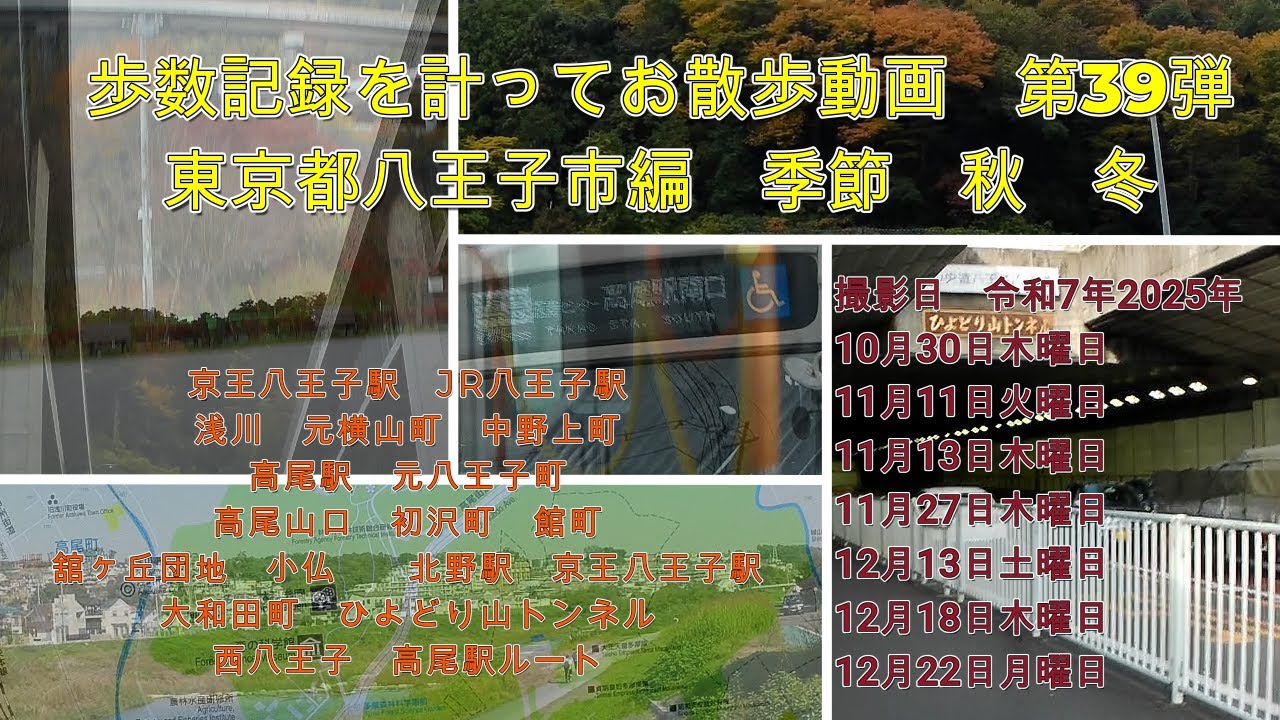 歩数記録を計ってお散歩動画　第39弾　東京都八王子市編　季節　秋　冬　動画