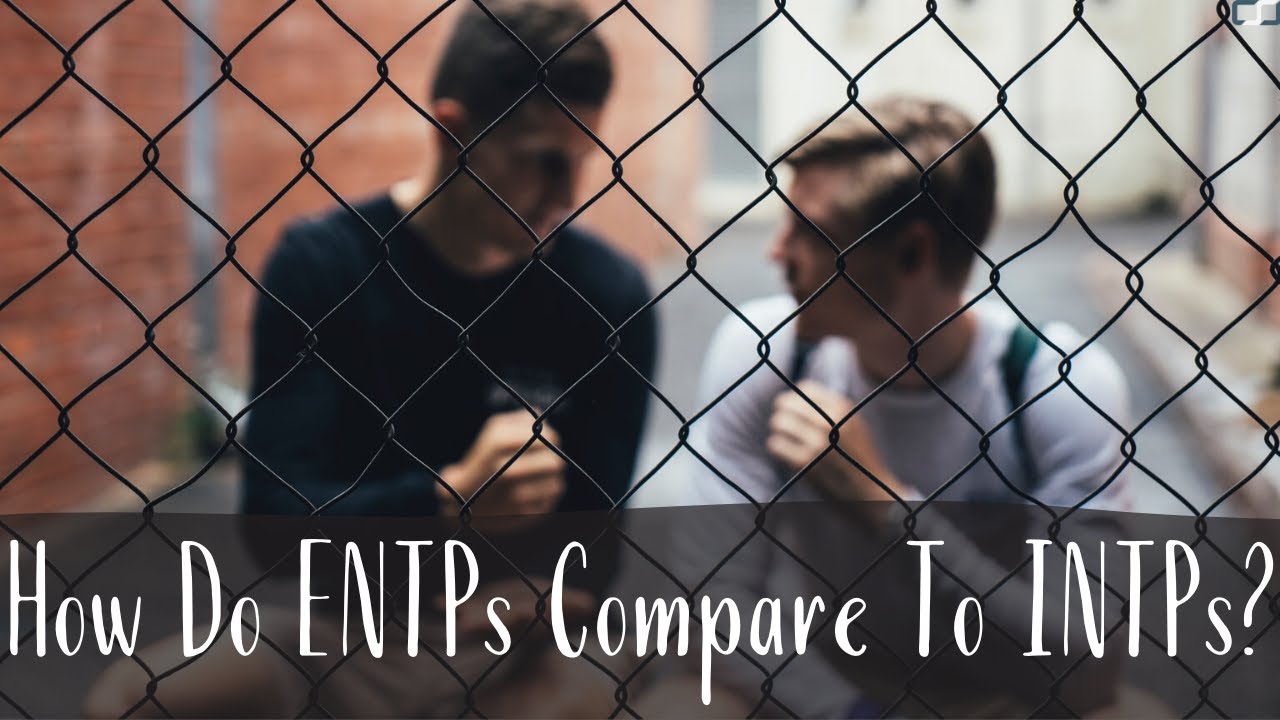 How Do ENTPs (The Rogue) compare to INTPs (The Ardent)? | ENTP vs INTP | CS Joseph