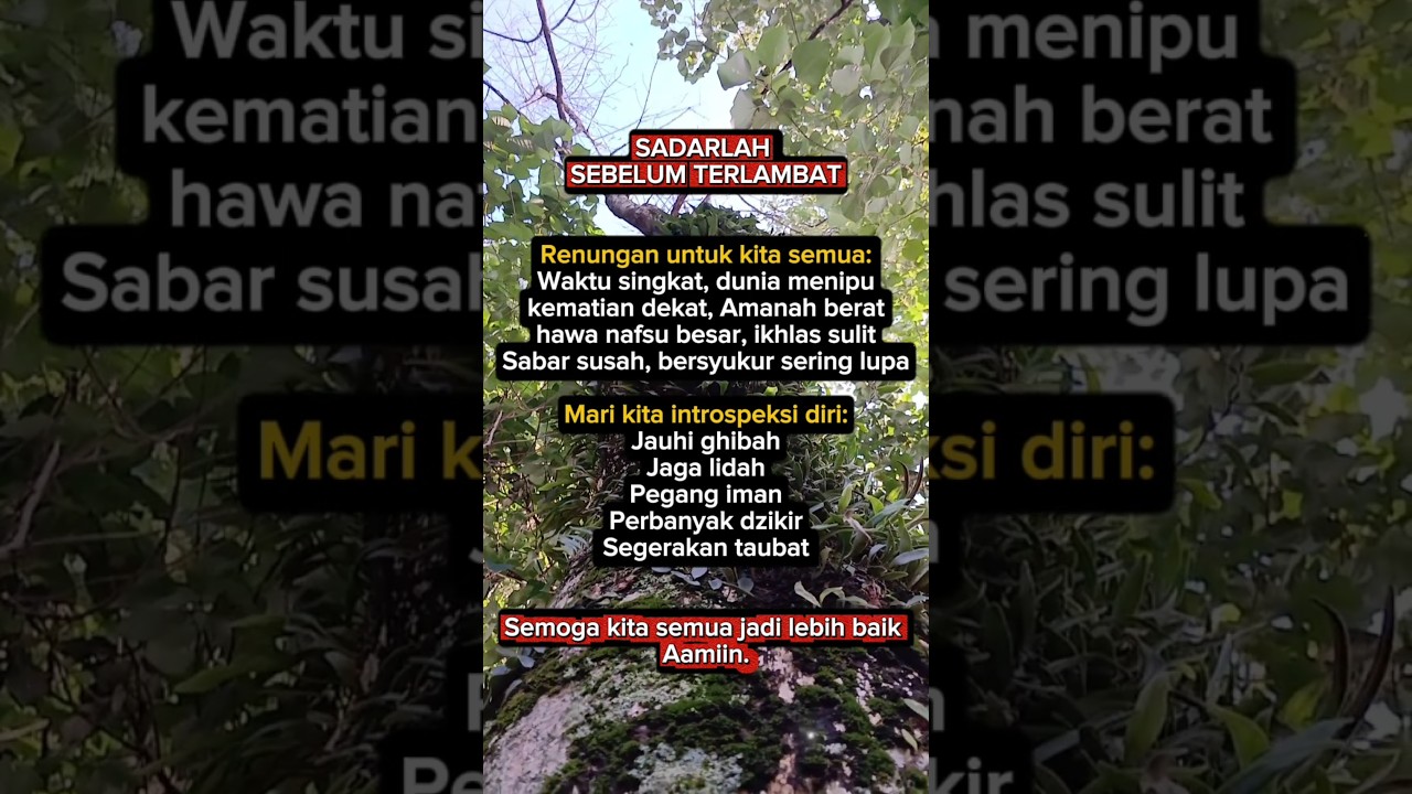 Rahasia Hidup yang Penuh Makna #HidupPenuhMakna #RahasiaHidup #PesanBijak #MotivasiHidup #KataHati