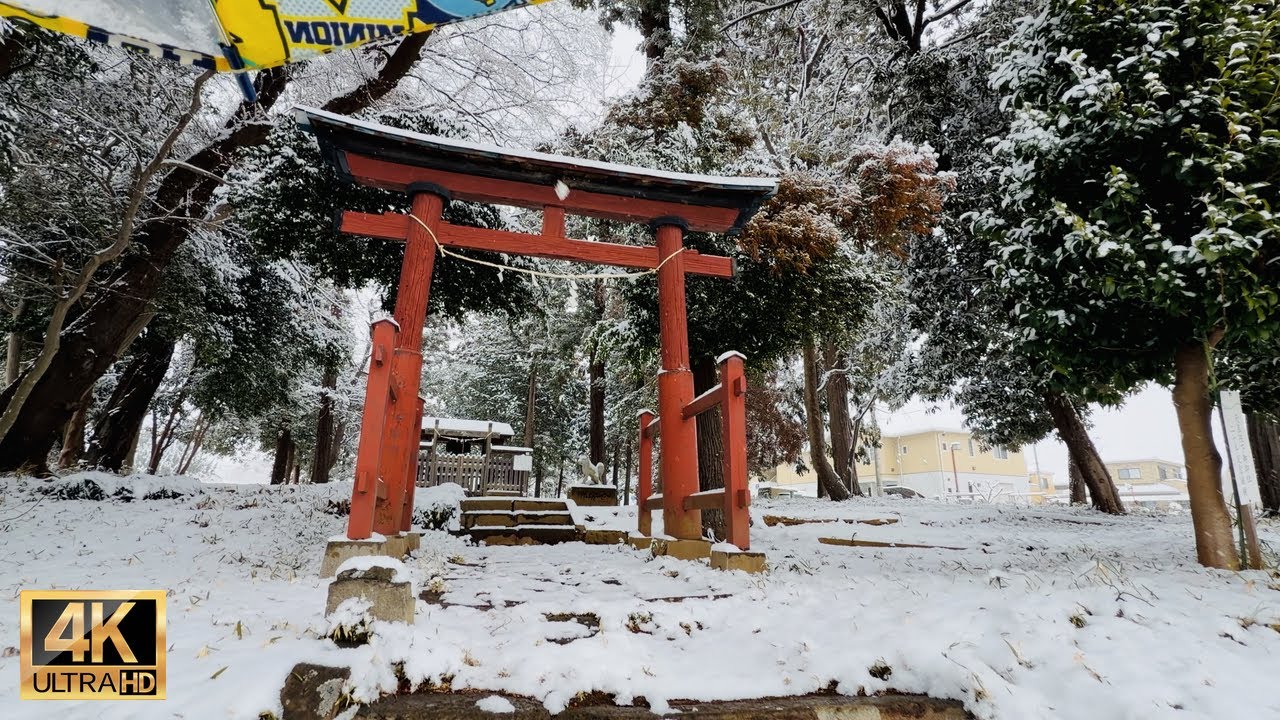 Beautiful heavy snow day walking tour in Japan | #explorejapan #japan #4k