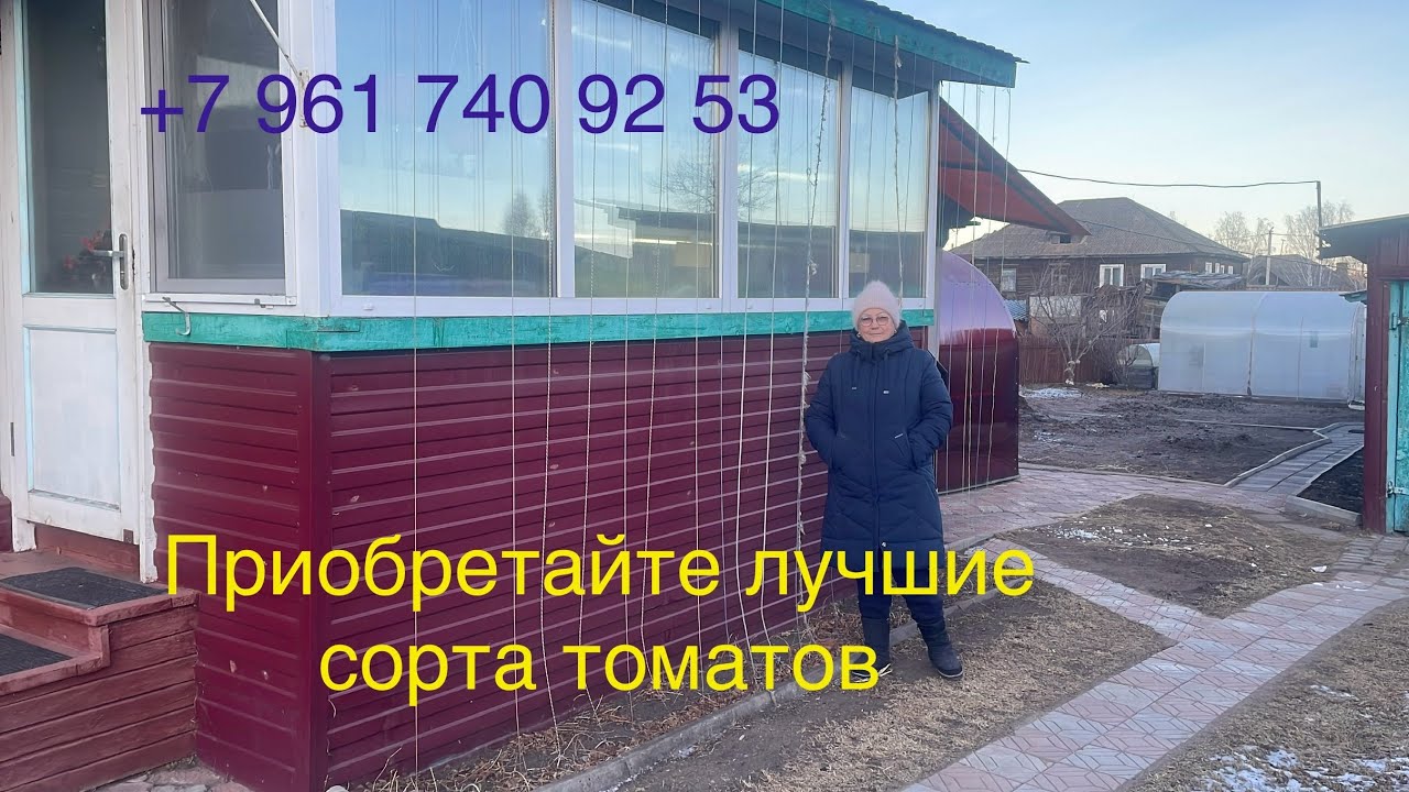 Сибирская зима без снега, Хакасия. Приобретайте лучшие сорта томатов!