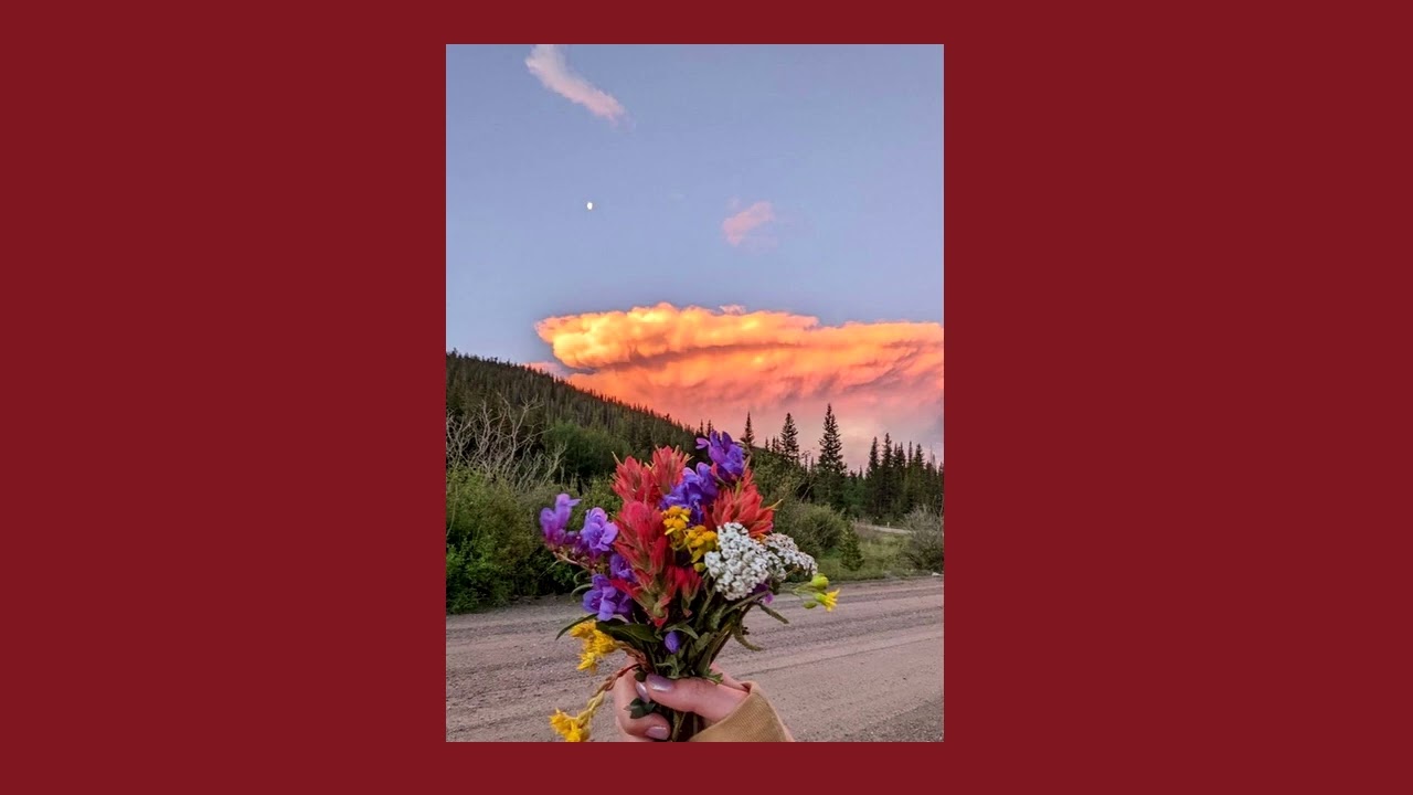 SINTER - returning to home