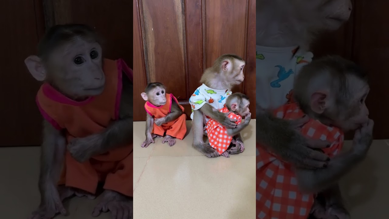 Really Smart to Mrr Jacky & Bro Pavpav waiting Dady